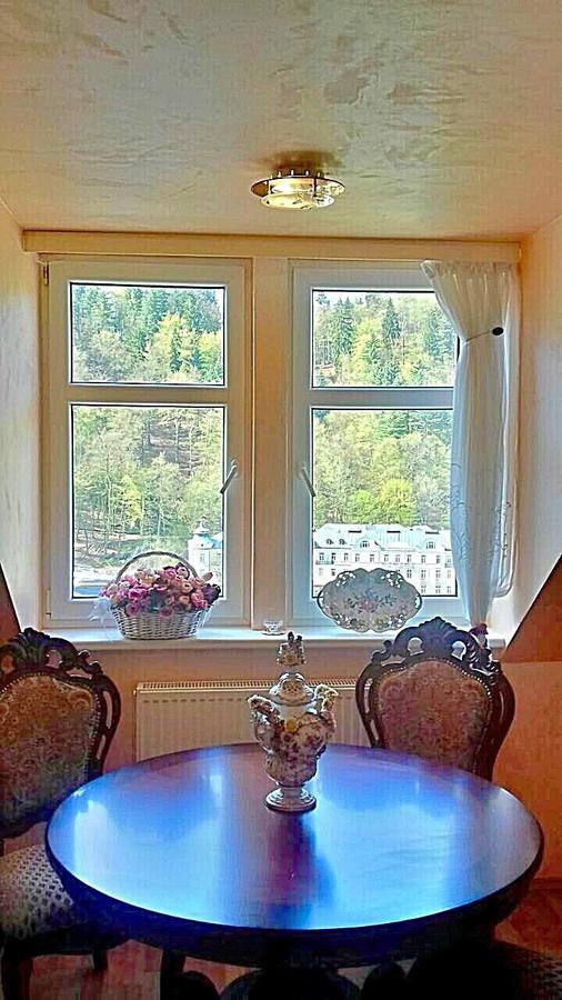 Lira 3 Apartments Karlovy Vary Bagian luar foto